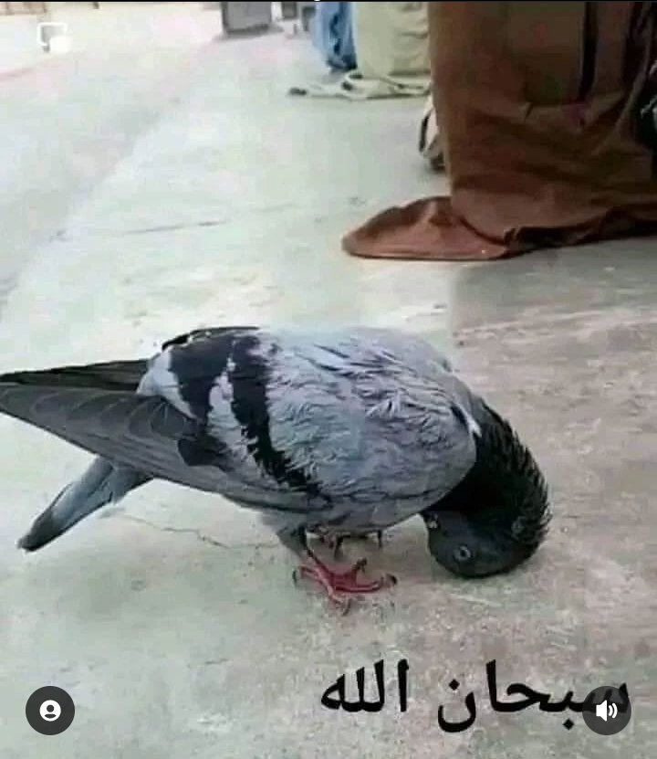 siyamaaaaa's tweet photo. Today's best picture. Retweet and comment Subhanallah. https://t.co/sUy3GJhl6Q