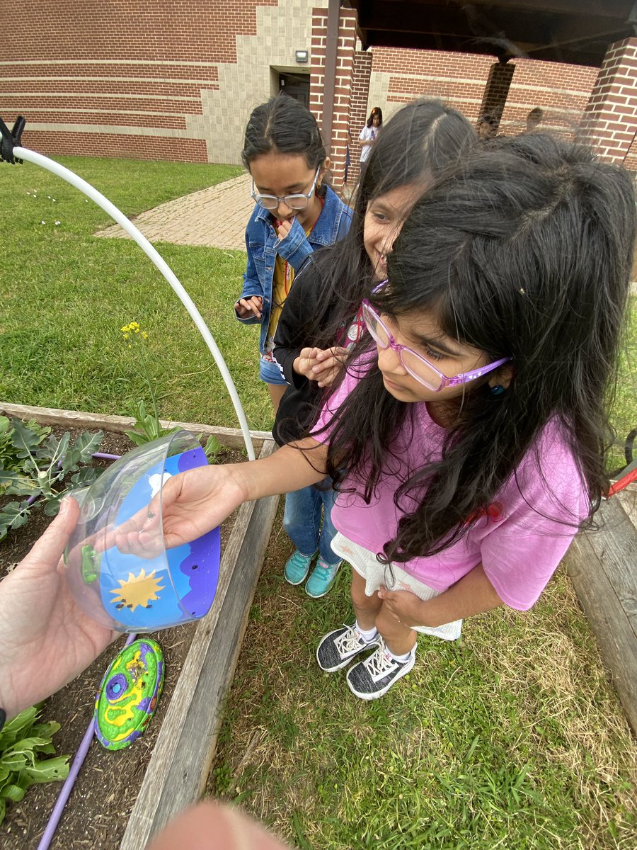 Rajeanna G Manross tweet media