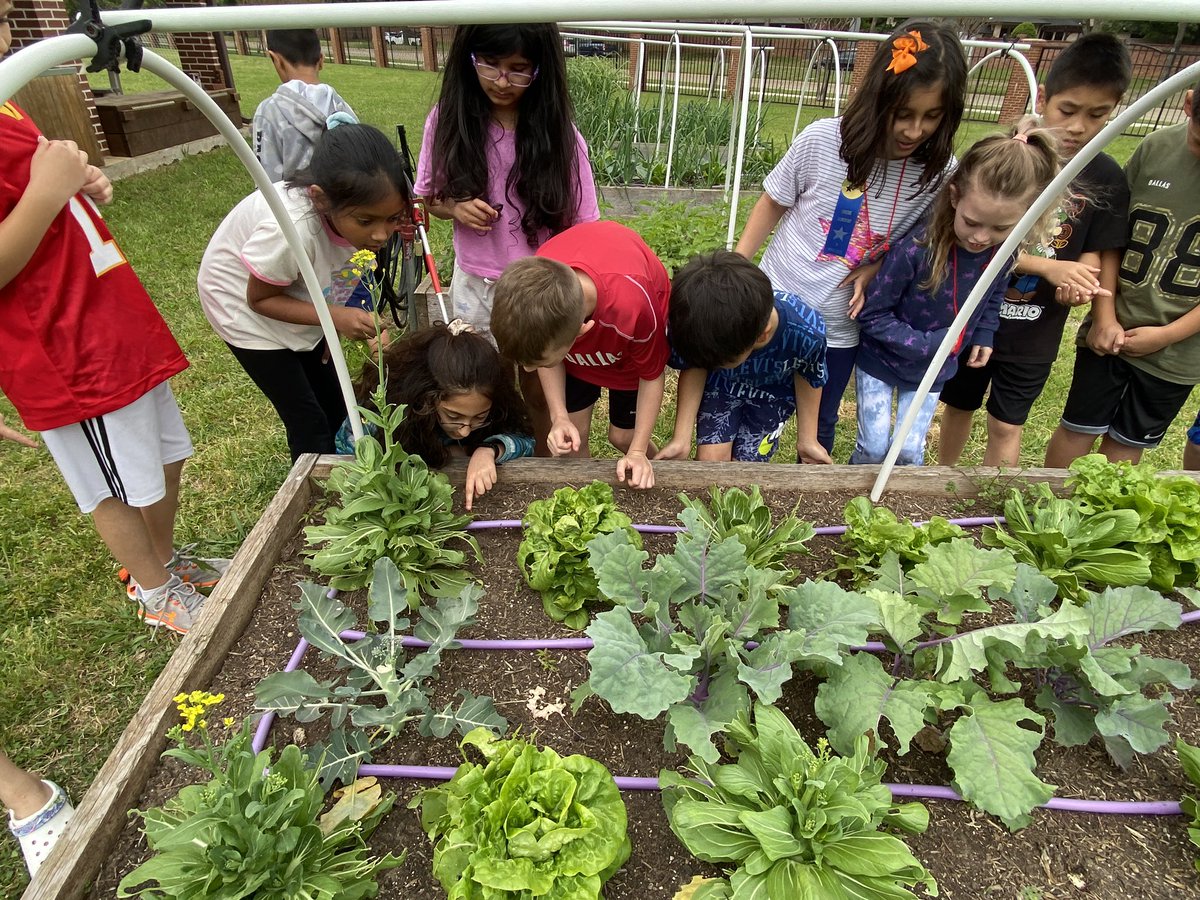 Rajeanna G Manross tweet media