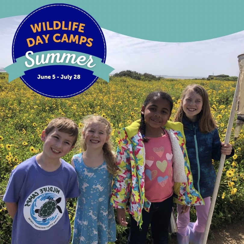 It's almost that time of year again. Summer Wildlife Day Camp at <a href="/thelivingcoast/">The Living Coast</a> registration is now open! ☀️

Learn more about their offerings and sign up at the link in their Instagram bio.

Head to the link below for a coupon:
passporttosandiego.com/company/living…

#sandiego #chulavista