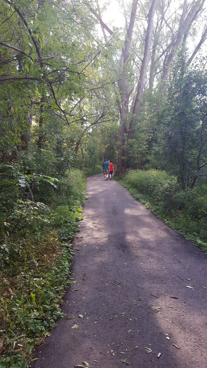 wishbig13's tweet photo. @cityofmarkham @markhamlibrary #GreenMarkham #MarkhamLibrary #MPLTrailProject Love walking Too Good Pond trail https://t.co/rzcIydqT53