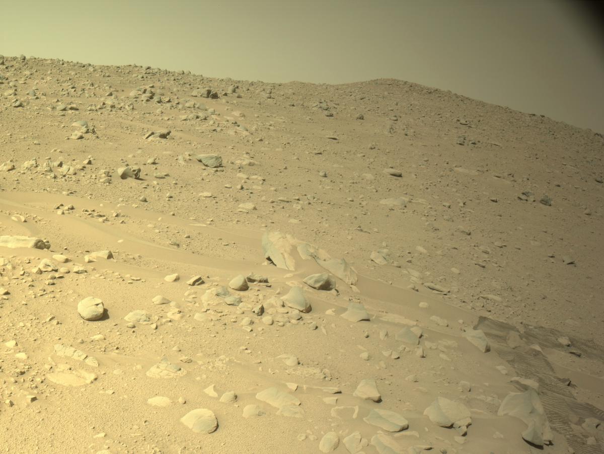 Perseverance Image Bot 📡 tweet media