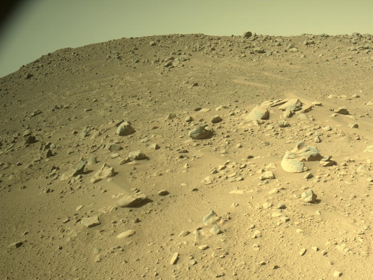 Perseverance Image Bot 📡 tweet media