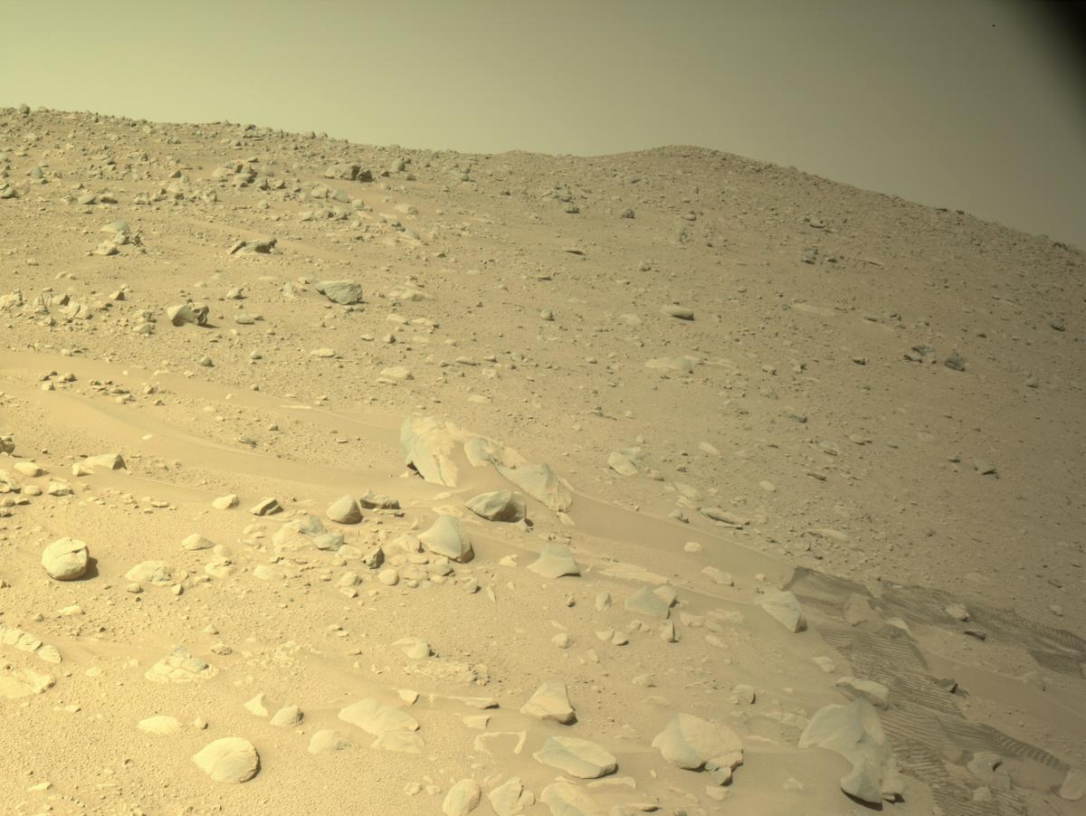 Perseverance Image Bot 📡 tweet media