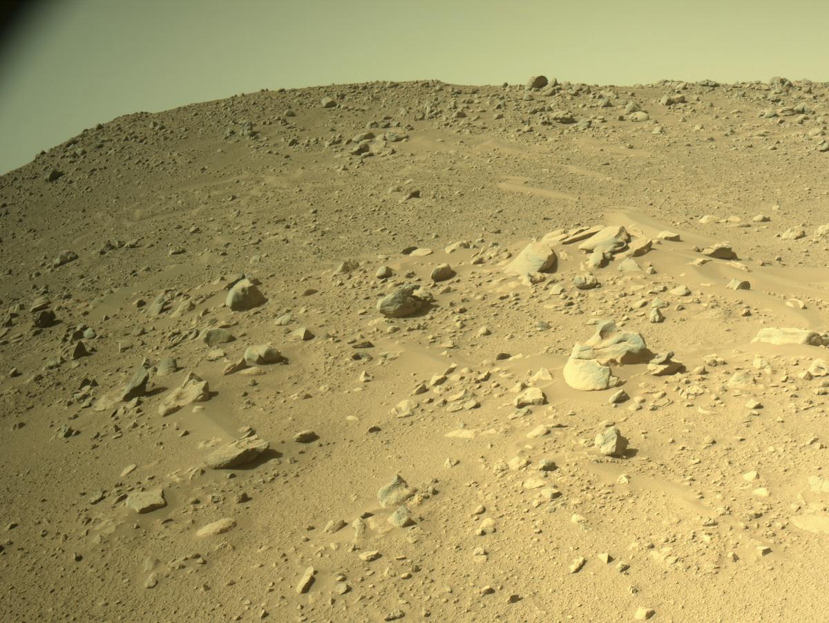 Perseverance Image Bot 📡 tweet media