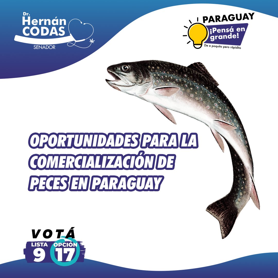 CodasHernan's tweet photo. ¿Estás buscando una oportunidad de negocio lucrativa en Paraguay?
¡Considera la comercialización de productos de la piscicultura! 🐟
#CodasSenador https://t.co/F7pgIl3zbG