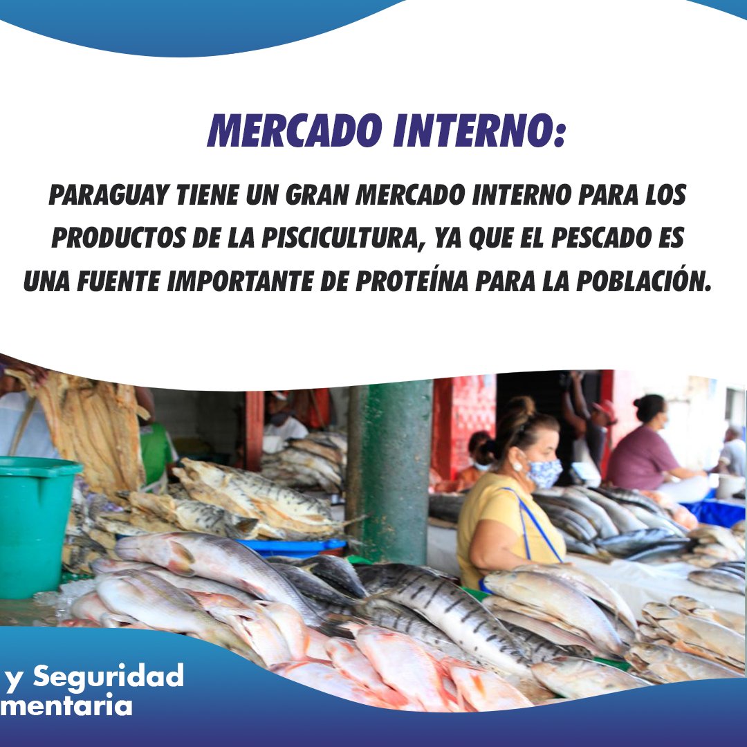 CodasHernan's tweet photo. ¿Estás buscando una oportunidad de negocio lucrativa en Paraguay?
¡Considera la comercialización de productos de la piscicultura! 🐟
#CodasSenador https://t.co/F7pgIl3zbG