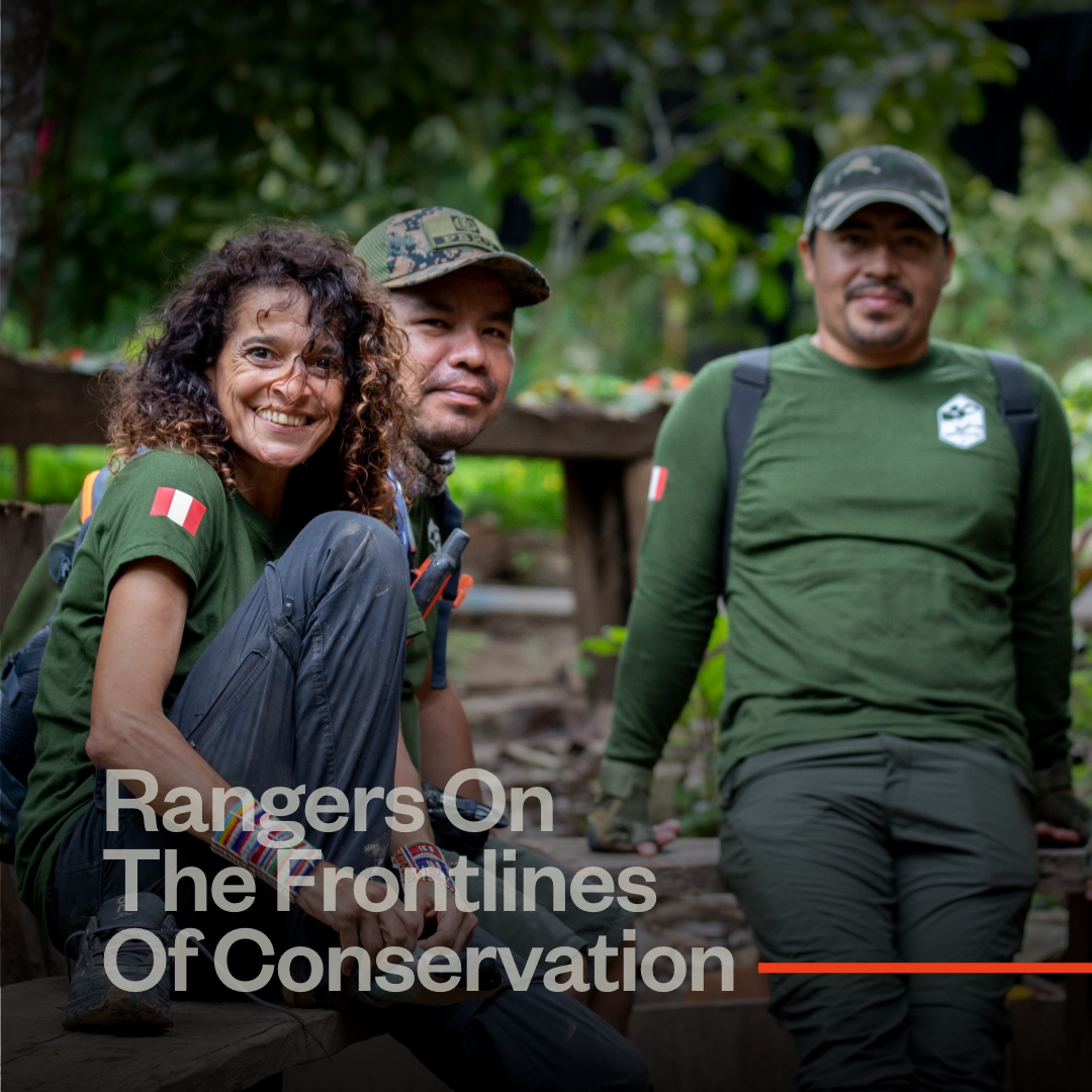 Age of Union tweet media