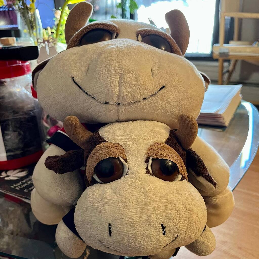 Time with my clone, Howie, at Grammie’s in Edmonton. #moo #marlowmoo #stuffedanimals #stuffiesofinstagram #stuffedanimalsofinstagram #stuffies #cowsofinstagram instagr.am/p/CrCA2iKPCXQ/