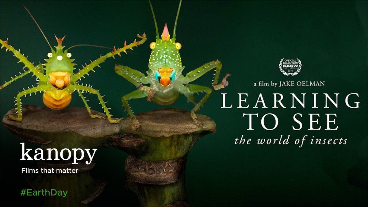 OCPLibrary's tweet photo. As climate change becomes increasing visible, #EarthDay is a reminder of the actions that must be taken to help save the planet and its inhabitants. Learn more about these necessary actions via this collection of films about the environment on Kanopy at https://t.co/a1AxLNLK7a. https://t.co/qIv9PtOY9o