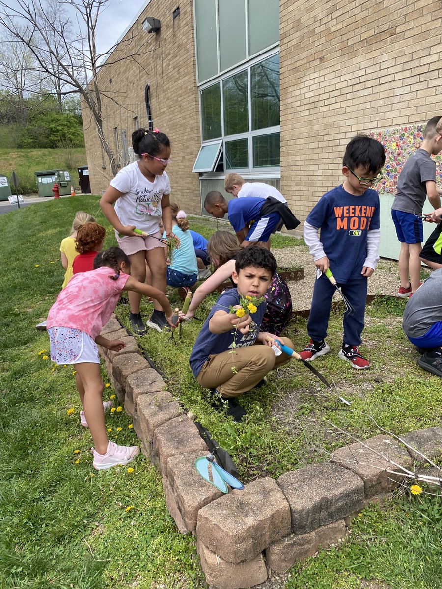 Mrs_Patterson__'s tweet photo. My kiddos noticed our garden area had lots of weeds so they wanted to clean it up! So grateful for students who care and want to make our school better. 🤍 @Creeksidetweet #NeedToSucceedCECS https://t.co/lGxaCoxJ8a