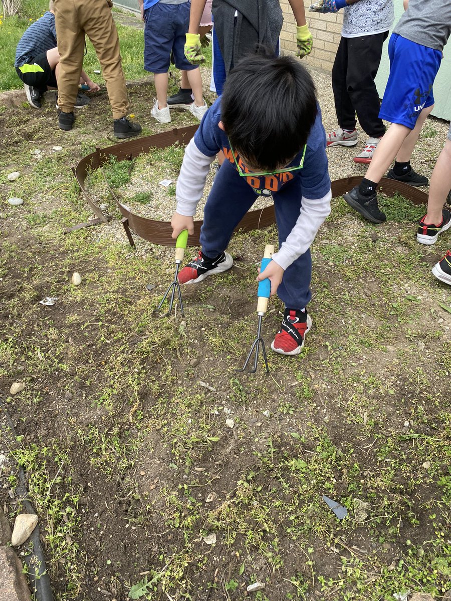 My kiddos noticed our garden area had lots of weeds so they wanted to clean it up! So grateful for students who care and want to make our school better. 🤍 <a href="/Creeksidetweet/">Creekside ECS</a> #NeedToSucceedCECS