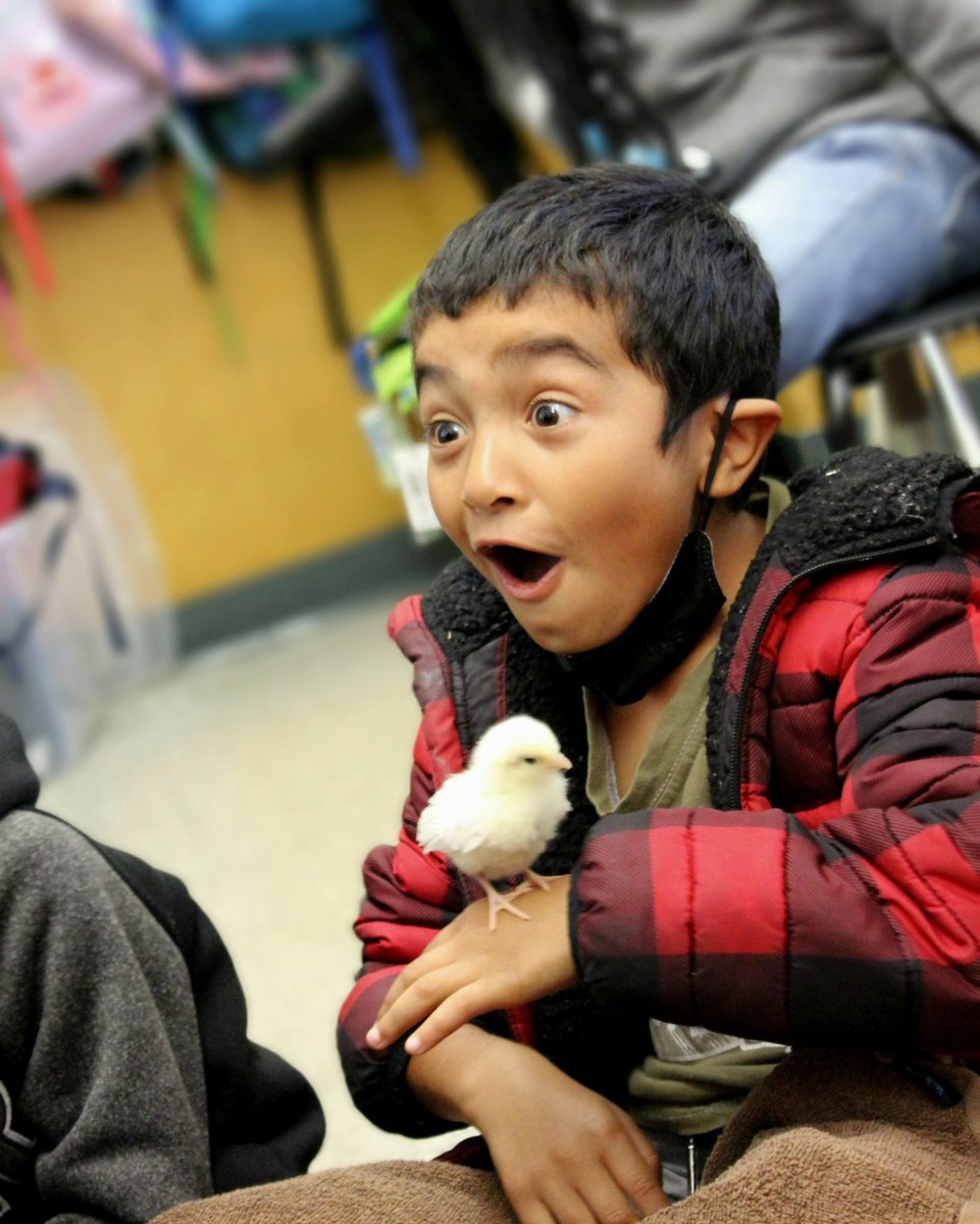 Chirp, chirp, it's the weekend! 😲😀🐣 <a href="/OUSDNews/">ousdnews</a>

📸 Prescott School <a href="/prescottwestoak/">Prescott West Oakland</a>

#tgif #mfw #itstheweekend #elementaryschool #studentlife #OurOUSD #Oakland