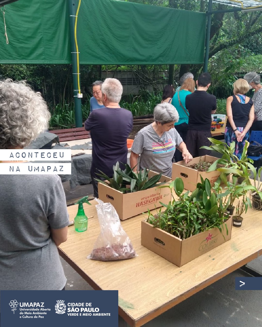 Mini-Curso: Desenho à Mão Livre no Paisagismo, Secretaria Municipal do  Verde e do Meio Ambiente