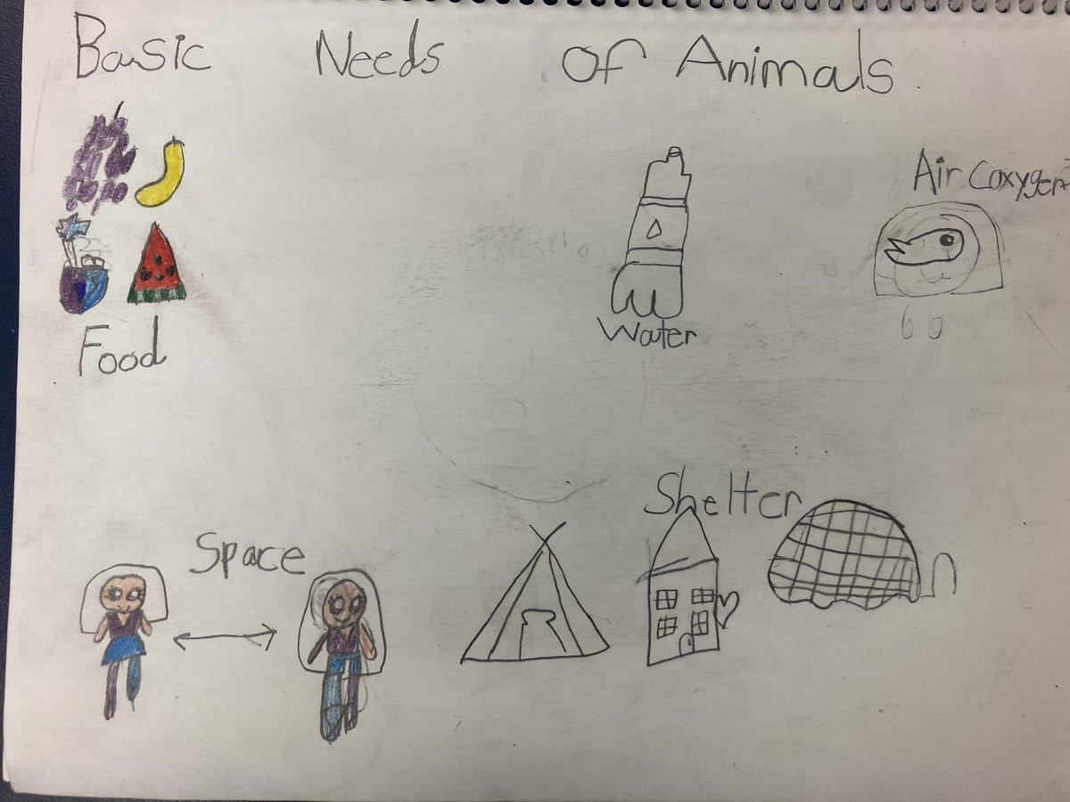 Lisa Bain tweet media