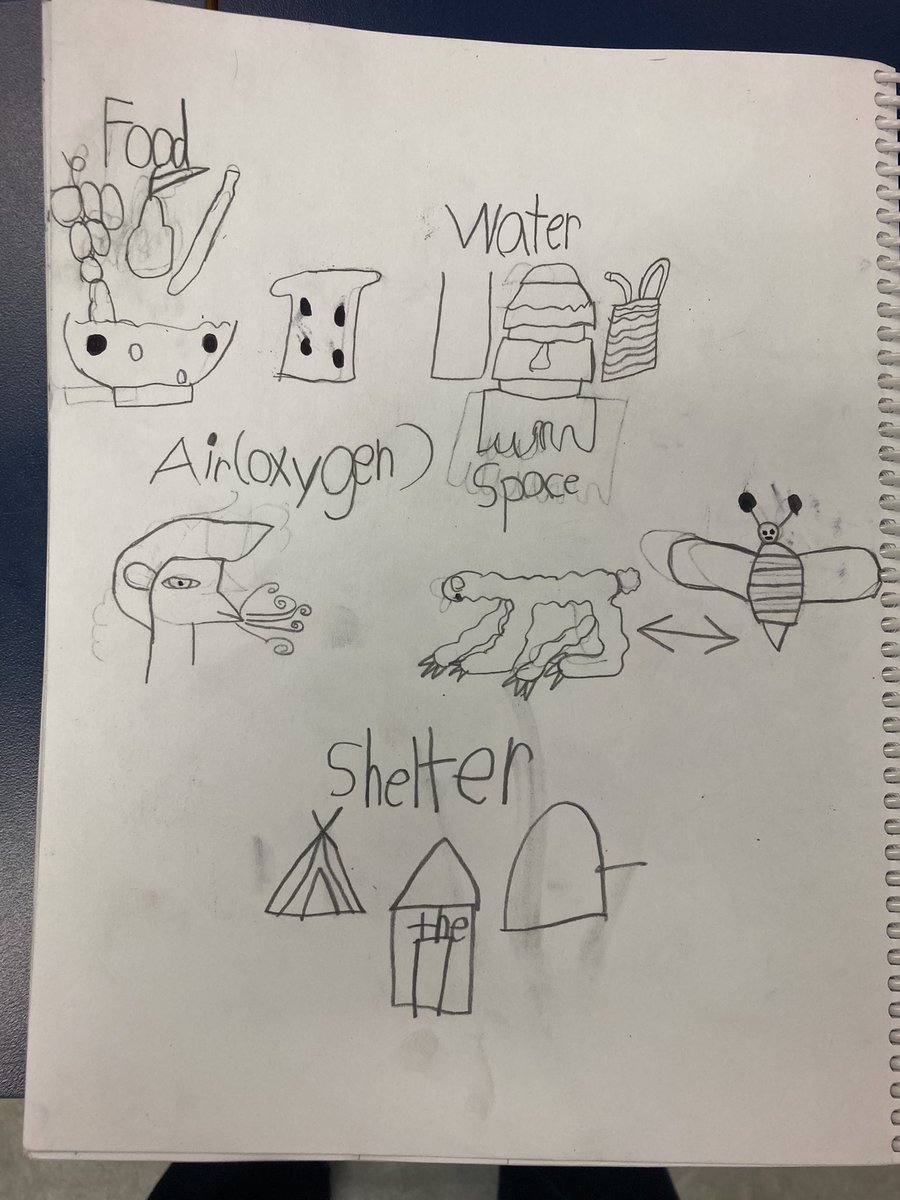 Lisa Bain tweet media