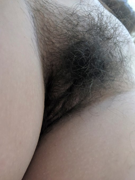 Do you love bush?? Asking for a friend. https://t.co/DvmYdi2xTy