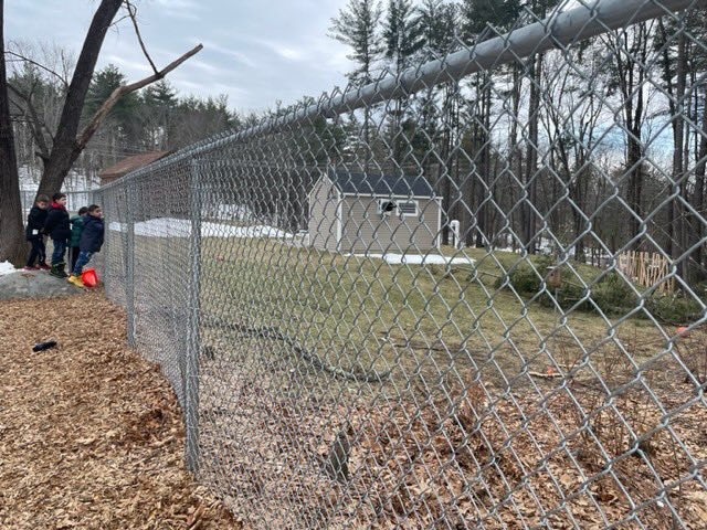 Flowers, worms, and blue bird boxes…all signs of #spring!