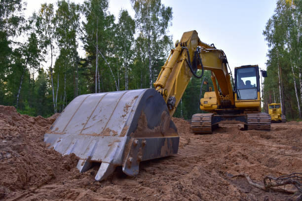 TheTreeDoctor4's tweet photo. If you're getting ready to take on a new home improvement or renovation project or just want to maximize the potential of an exterior area, our land-clearing services are for you! Learn more at https://t.co/dESHXZuBDv https://t.co/62pmYvtLXa