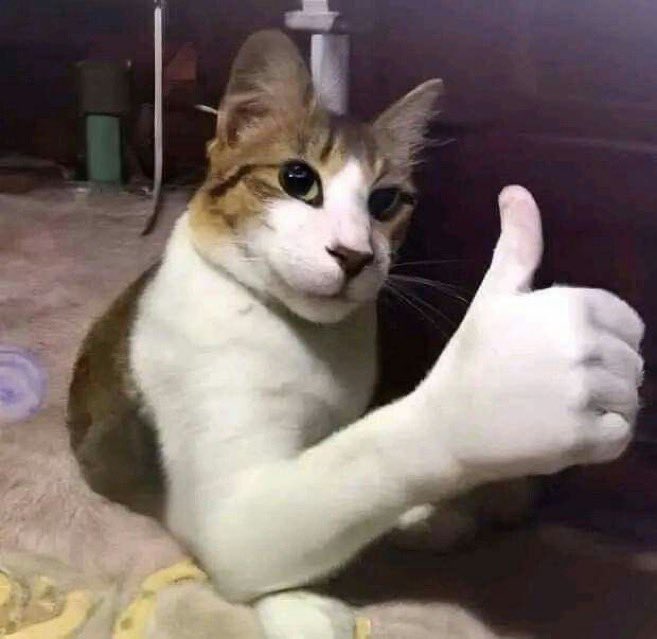 ''es un amigo''