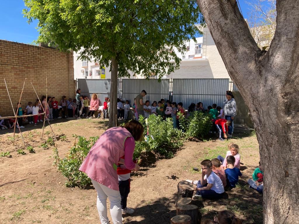 Hoy los más pequeños del centro han visitado el huerto y con motivo de la primavera han plantado margaritas. @huerto, ⁦<a href="/programaaldea/">Programa Aldea 💚🌏</a>⁩ ⁦<a href="/CEIPBlasInfante/">CEIP BLAS INFANTE</a>⁩ .
