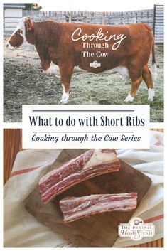 recipes_full's tweet photo. Cooking Through the Cow Series: What to do with Short Ribs
#recipeinspiration #recipecreator #recipebox
full recipe : https://t.co/mzOvY8MrfK https://t.co/eFjWo74Bmc