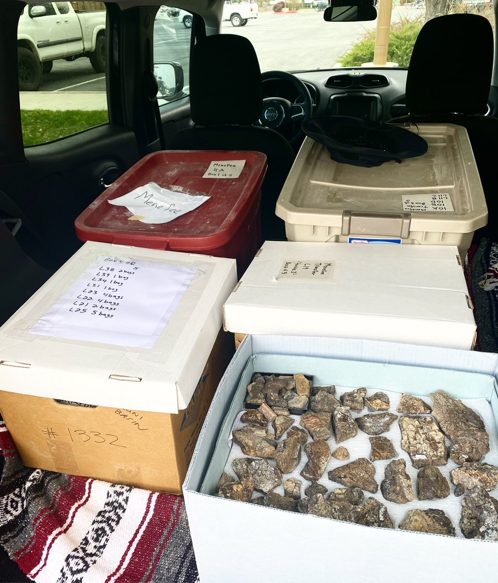 Happy #FossilFriday! What’s in all those boxes? A lot of dinosaur and turtle bones from the Menifee Formation in New Mexico! WSC paleontologists headed up to @nhmu to bring this material to the museum, & we’re excited to go through all the boxes and see what’s inside.