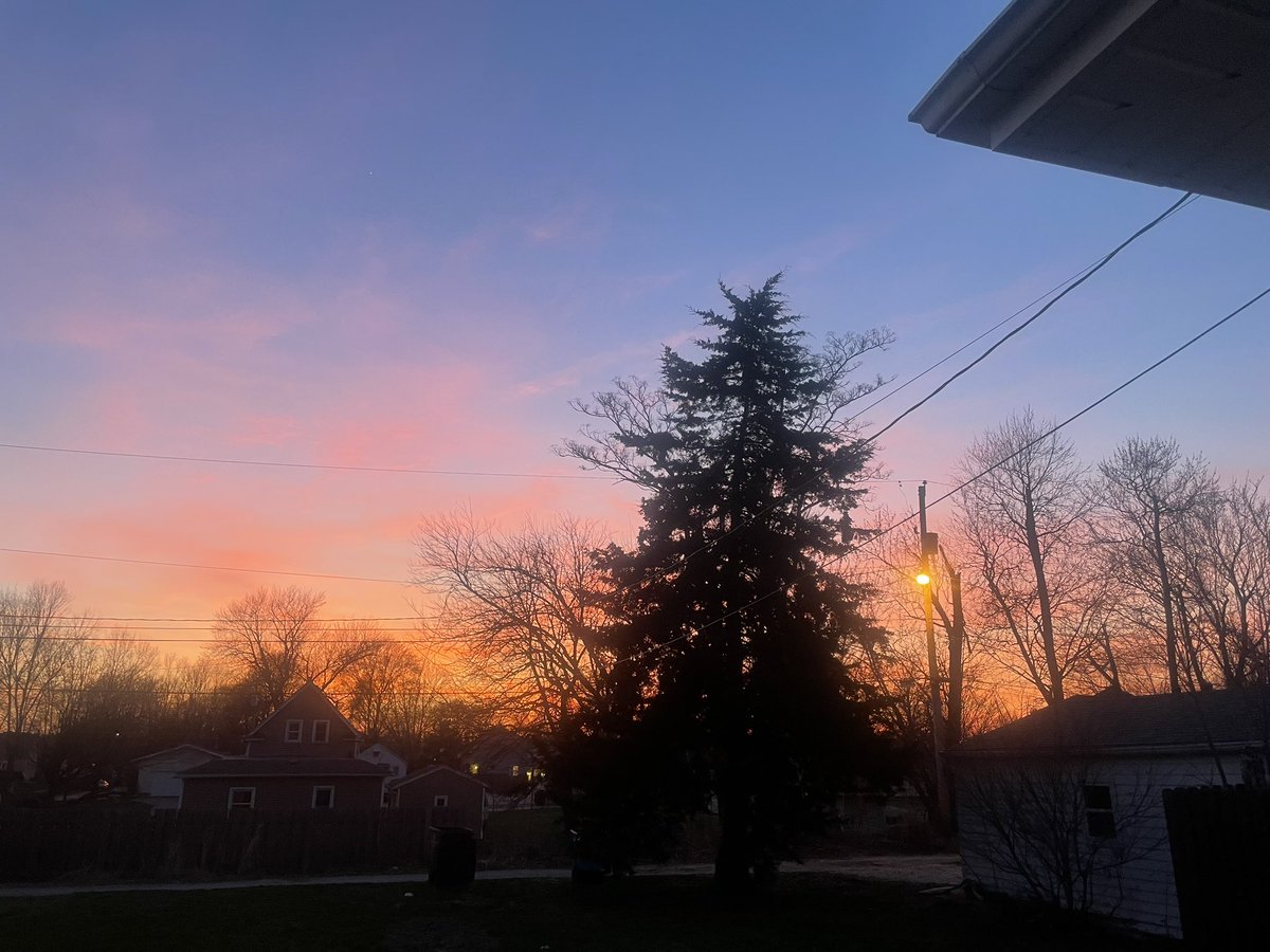 Zen Yogi 🕉✨🧘🏻 tweet media