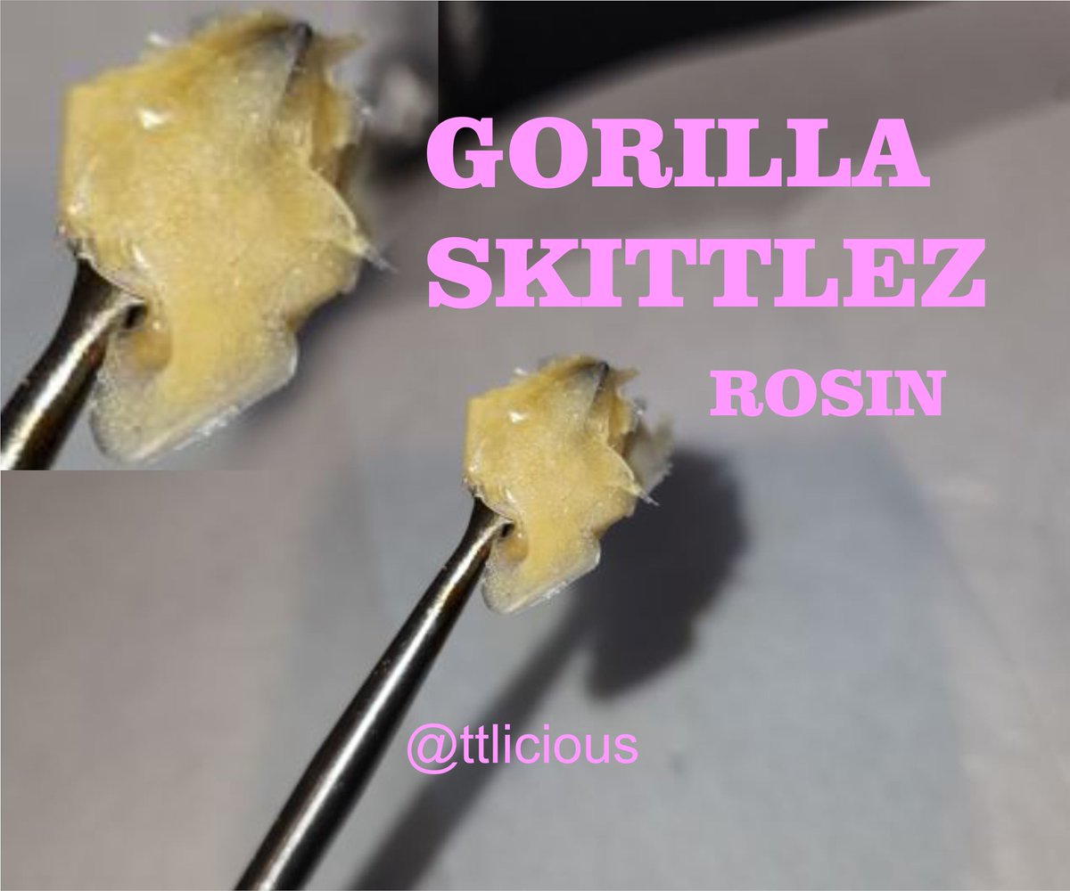 LiciousTt's tweet photo. omg... I made some yummy Rosin!!!
#gorillaskittlez #harvest #lils
Life is Good!

#pressclub #37micron #150degrees #mindblown #love #harvesttime #stonerchick #Mmemberville
@Mmemberville_ #growyourown #420community #weedlovers https://t.co/1Pbx9157Np