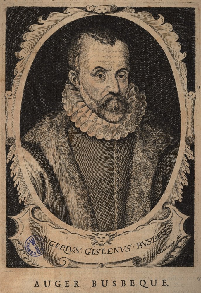 yeekanada's tweet photo. In the era of #Suleiman the Magnificent, Austrian ambassador #Busbecq was enamored by the #tulip gardens, and the tulip made its way to #Vienna from #Anatolia. Referring to the muslin or the ‘’tulbent’’ that Ottomans wrapped around their heads, Europeans named this plant 'Tulipe' https://t.co/0P5ll0K48F