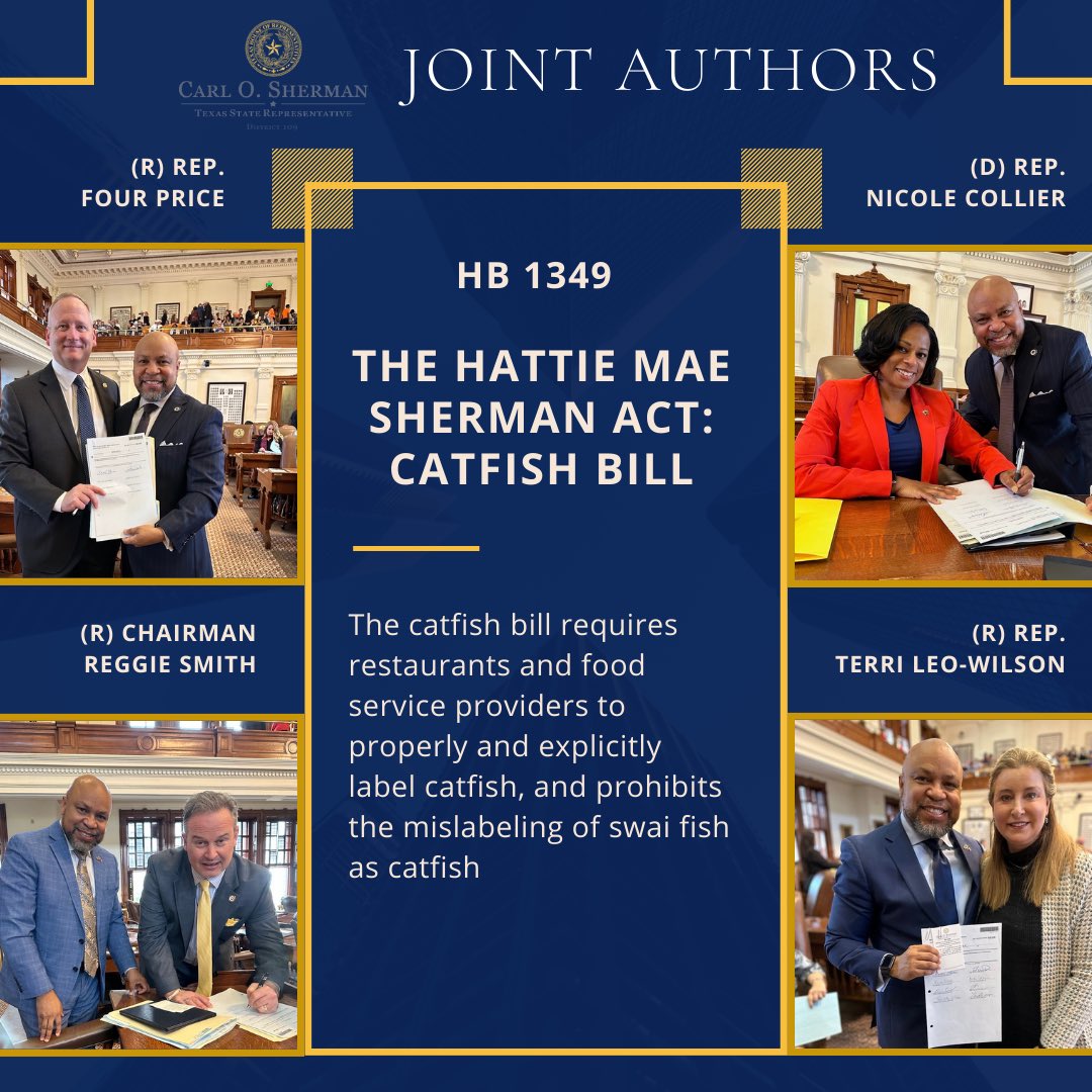 CarlOShermanTX's tweet photo. Joint Authors Alert:
Chairman Reggie Smith and State Representatives Four Price, Nicole Collier & Terri Leo-Wilson have signed on as Joint Authors in support of HB 1349, “The Hattie Mae Sherman Act: Catfish Bill.”
#txlege #Like #Share #Follow https://t.co/4fgZt7gHbE