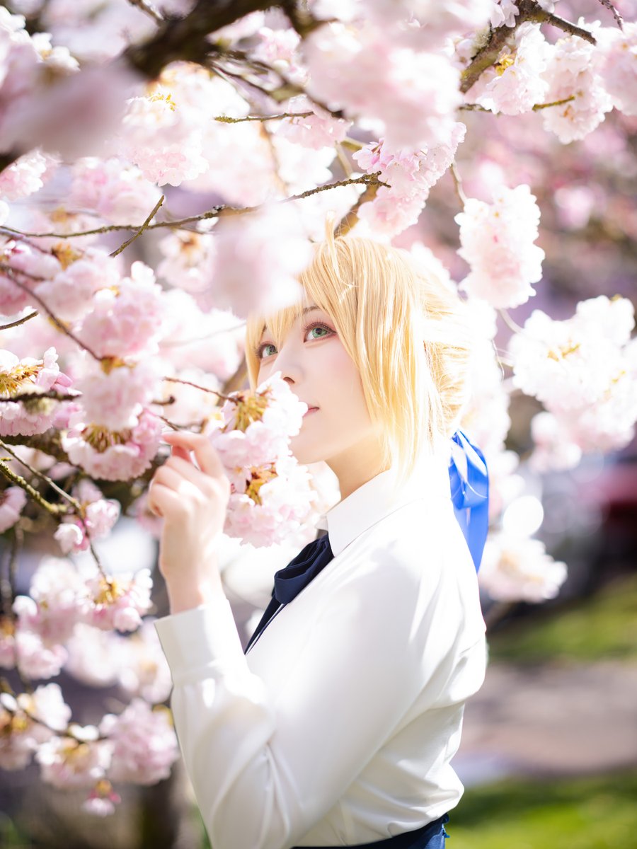 🌸Saber  

#fate 
#Saber 
#セイバー 
#sabercosplay 
#fatestaynight 
#FateGrandOrder 
#Fgo 
#cosplay