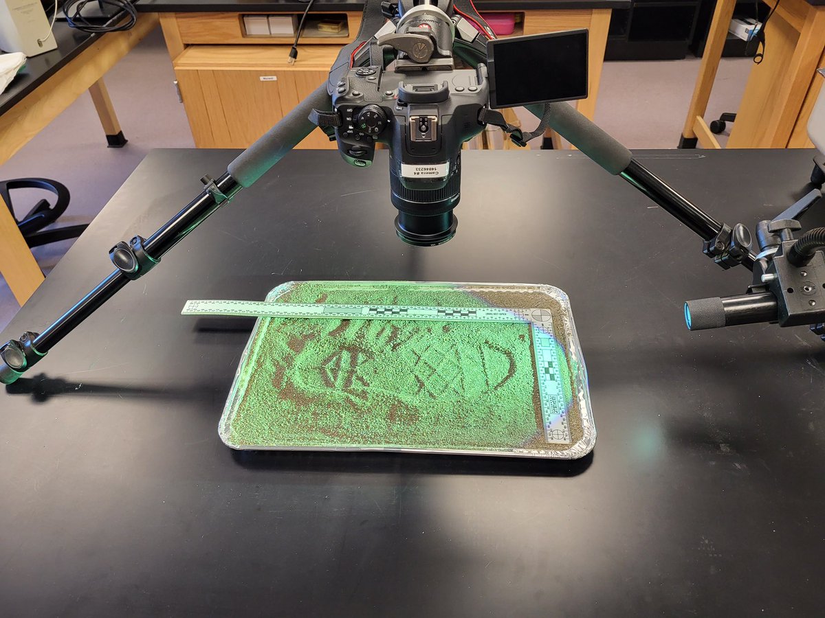 unewhavenforen1's tweet image. Our students learn the best techniques for taking images of footwear impressions because capturing all the details in the photographs is essential!

#UNewHaven #forensicscience #forensictechnology #unewhavenforensics #footwearimpressions #investigation