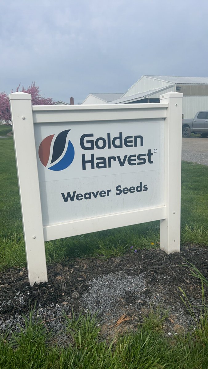 CBowlingAg's tweet photo. Always a pleasure to visit with @WeaverAgronomy! A lot happening today, from @GldnHarvest soybeans being treated, seed orders being confirmed, Seed deliveries being made, and local field work preparing for #SpringPlanting2023 to kick off! Thank you for your continued partnership! https://t.co/q0hPNSo3pW