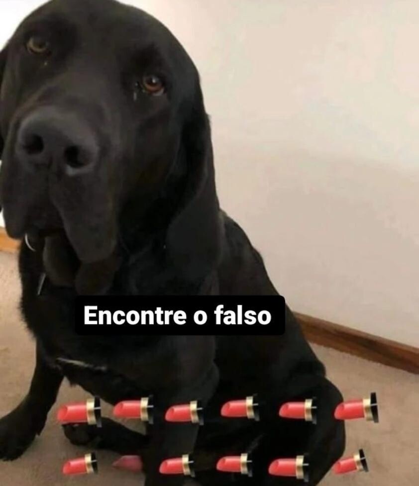 Shitpost só que de verdade (@shitpostverdade) on Twitter photo 
