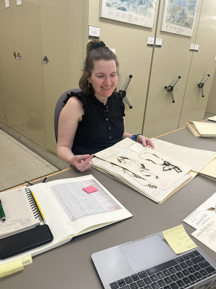 MichaelSundue's tweet photo. The Pringle herbarium #fern crew (VT) descends upon the Gray Herbarium (GH) - so many types to find! #fernsofcolombia https://t.co/K8PWgtRkeK