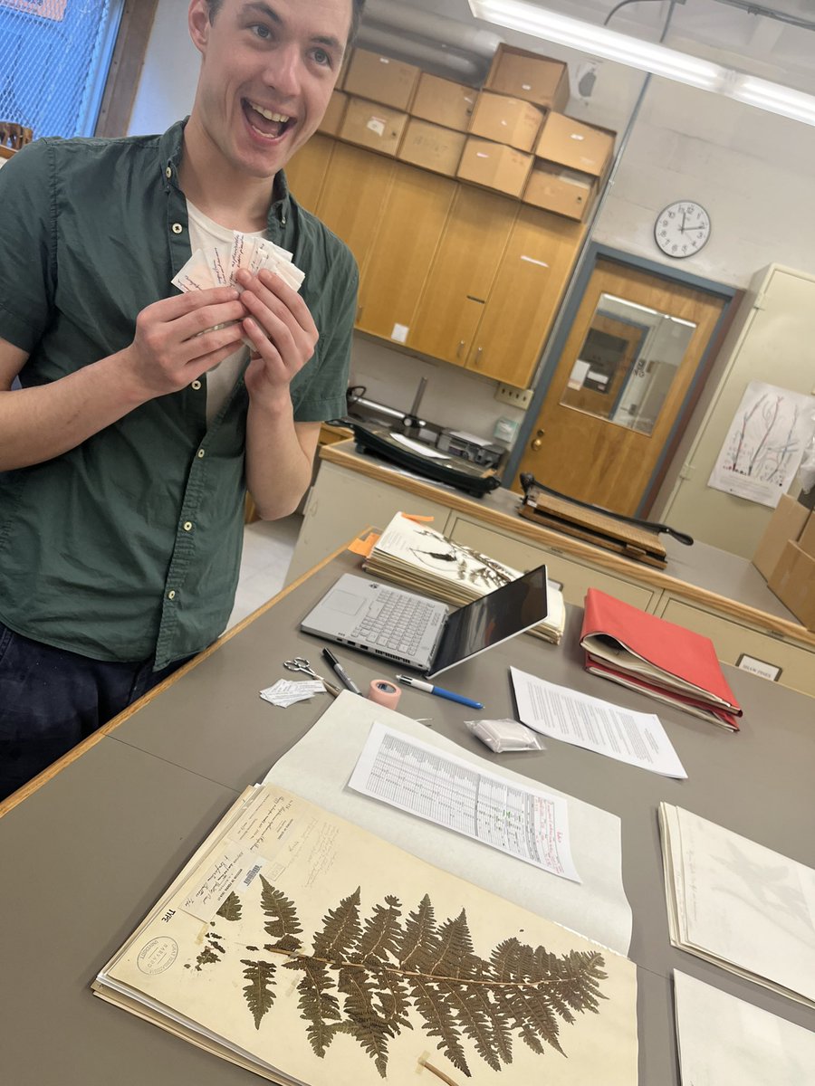 MichaelSundue's tweet photo. The Pringle herbarium #fern crew (VT) descends upon the Gray Herbarium (GH) - so many types to find! #fernsofcolombia https://t.co/K8PWgtRkeK