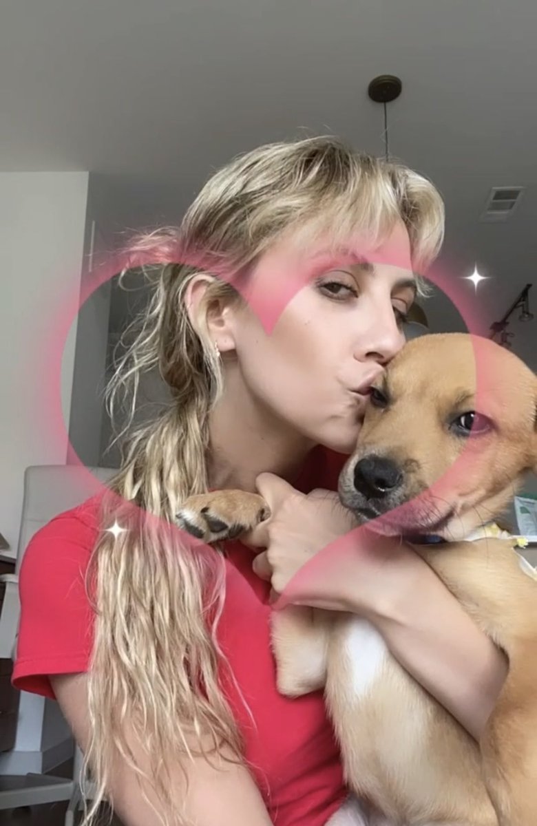 macytodddd's tweet photo. his name is butter and he’s been watching me edit a music video for the last 3 days 🧈 the verdict is he hates the song :/ https://t.co/UNaWgwFIY6