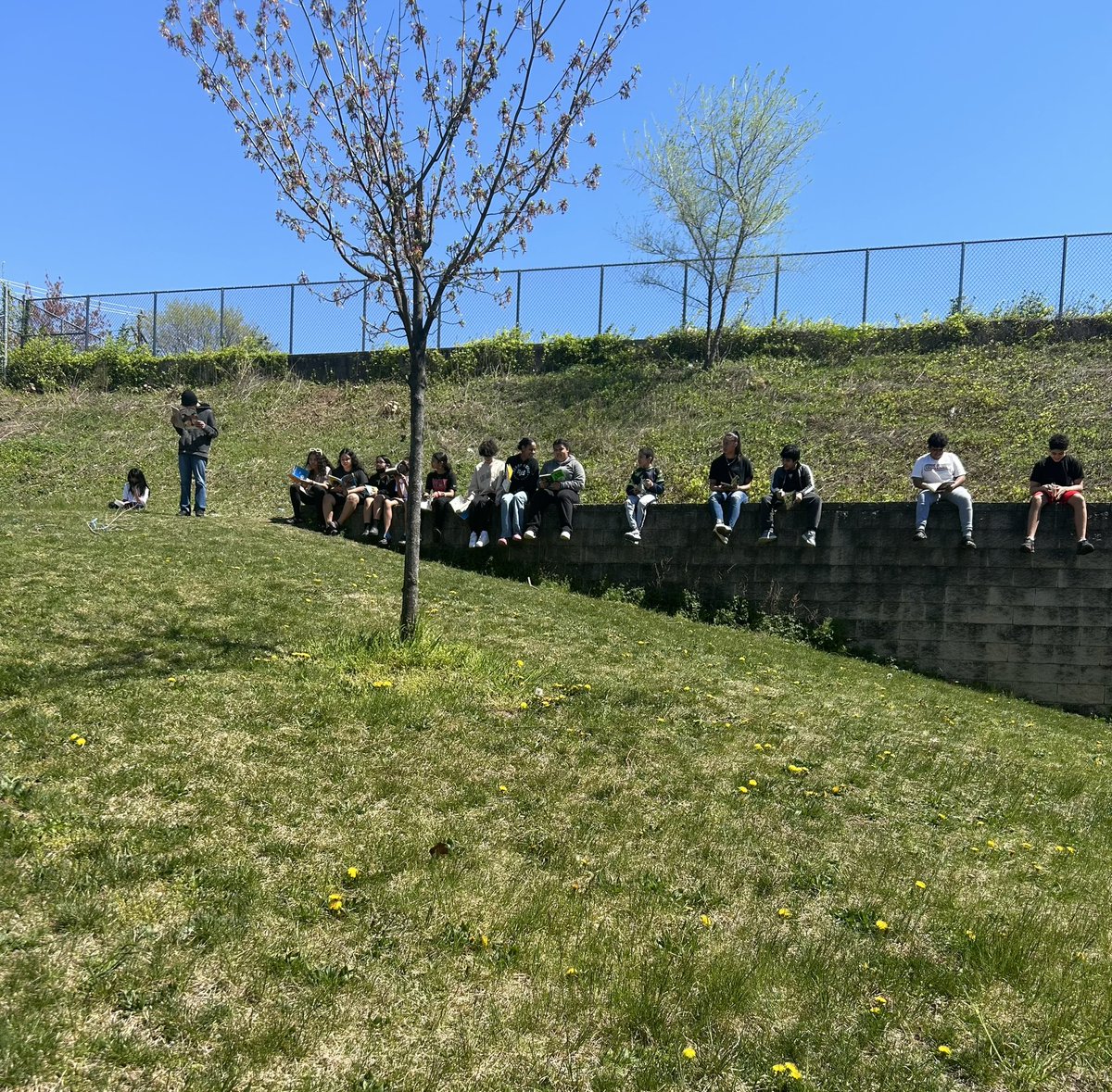 MrsMoll_'s tweet photo. Couldn’t miss the opportunity to take the kids and their books outside to read in the warm sunshine this week☀️📖 #RSDproud https://t.co/gOzLUyC2pL