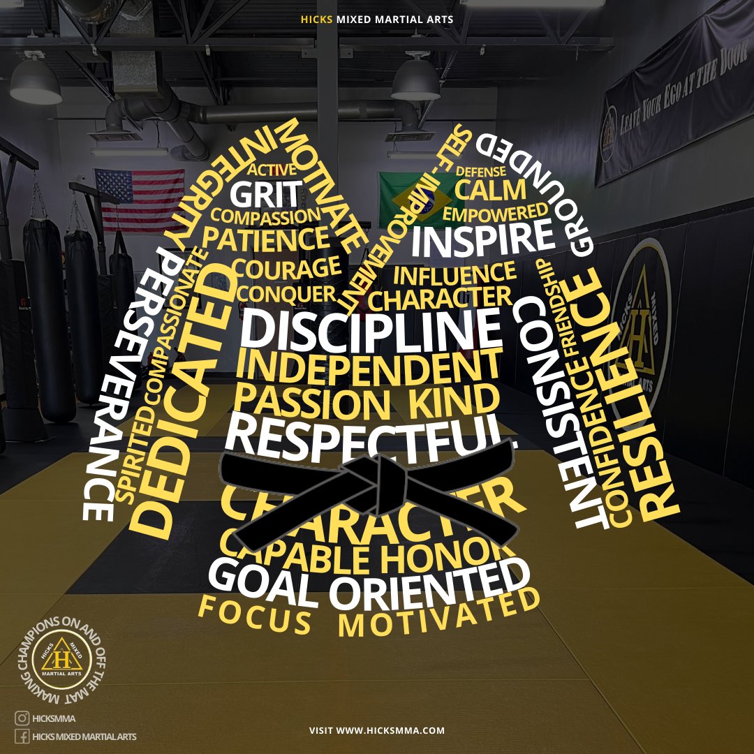 hicksmma's tweet photo. Why Martial Arts? Here's why.. 💪🥋 https://t.co/sMPt36i8xv