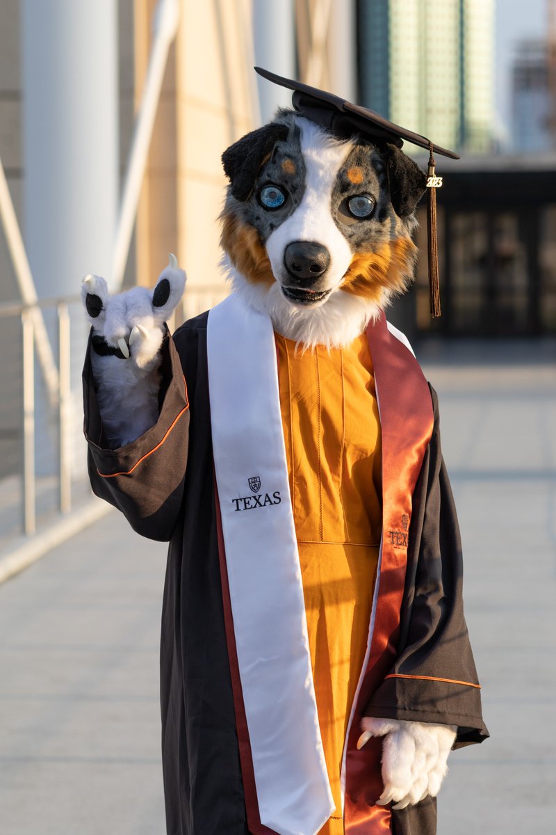 piebaldy's tweet photo. puppy graduation
#fursuitfriday https://t.co/PxrgWusZIa
