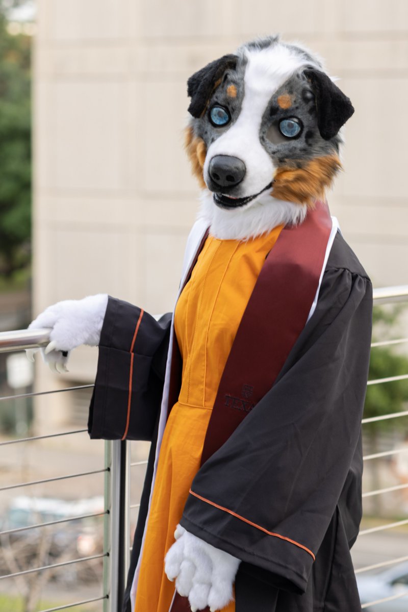 piebaldy's tweet photo. puppy graduation
#fursuitfriday https://t.co/PxrgWusZIa