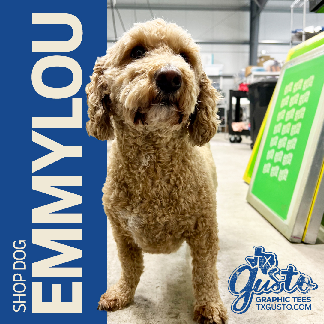 GustoGraphicTee's tweet photo. Emmylou, our favorite shop dog in all of the land. She brings comfort and smiles to us while we're working hard printing all of those tees and is happy to give our UPS friend lots of love too! We're so thankful for this little bundle of joy! 

#shopdog #emmylou #shopdoglife #shop https://t.co/U3FVN30cdh