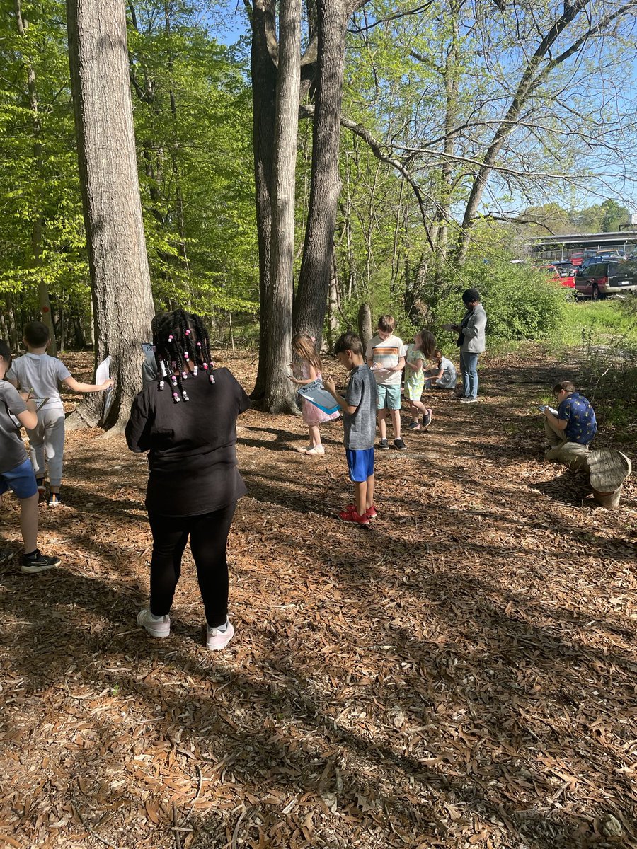 Rachel Hirneisen tweet media