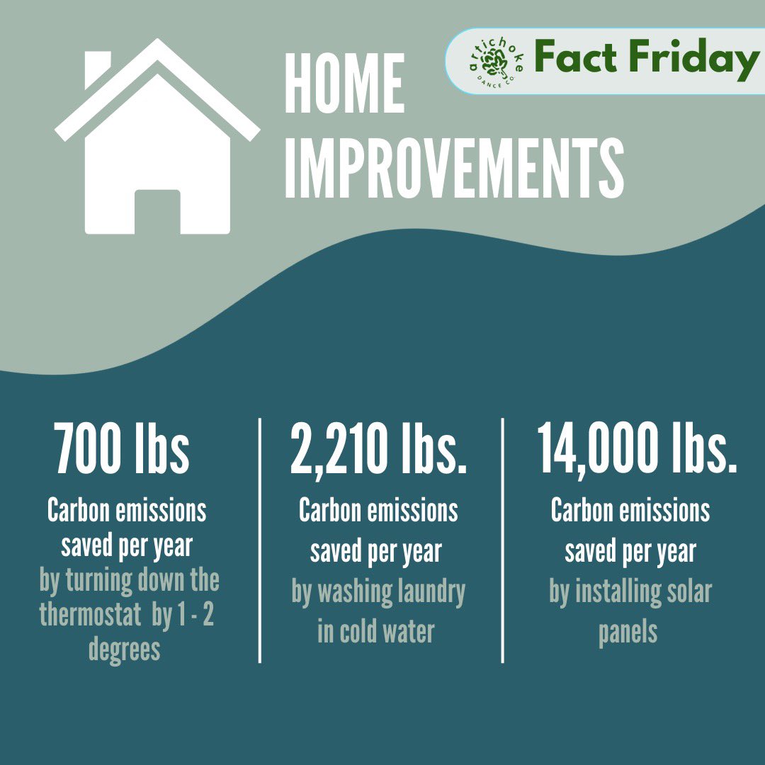 Fact Friday! How can you reduce carbon emissions in your home? There are easy everyday actions you can start incorporating into your daily routine, as well as big stuff like solar panels and energy efficient windows.

#EcoArts #Sustainability #EnergyConservation #CarbonFootprint