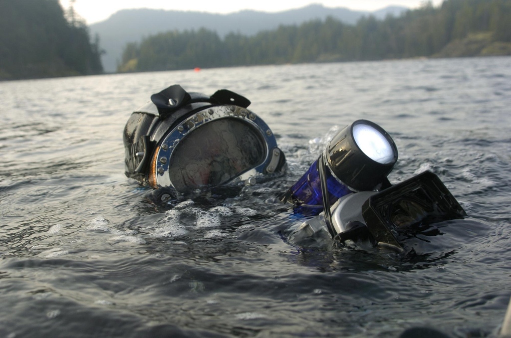 Did you know BC's growing film industry extends past the surface? On many film sets they need Commercial divers for all sorts of tasks such as stunt safety, filming, acting and set construction. 

#sharevi #explorevancouverisland #campbellriver #underwaterlife #saveourseas