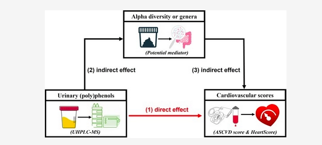 HealthyFellow's tweet image. Interplay between the #Polyphenol #Metabolome, #Gut #Microbiome &amp;amp; #Cardiovascular #Health in Women 

mdpi.com/2072-6643/15/8… 

@_atanas_ @_INPST @ScienceCommuni2 @DHPSP @ToshiyukiHorie @EwingT_PhD @Grimhood @HeidiHmoretti @DrPalmquist @Mindzatwork @scorpiotiger @GMFHx @heniek_htw