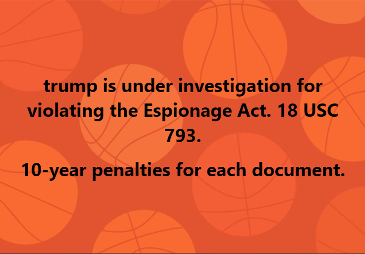 Sandy Shriver  tweet media