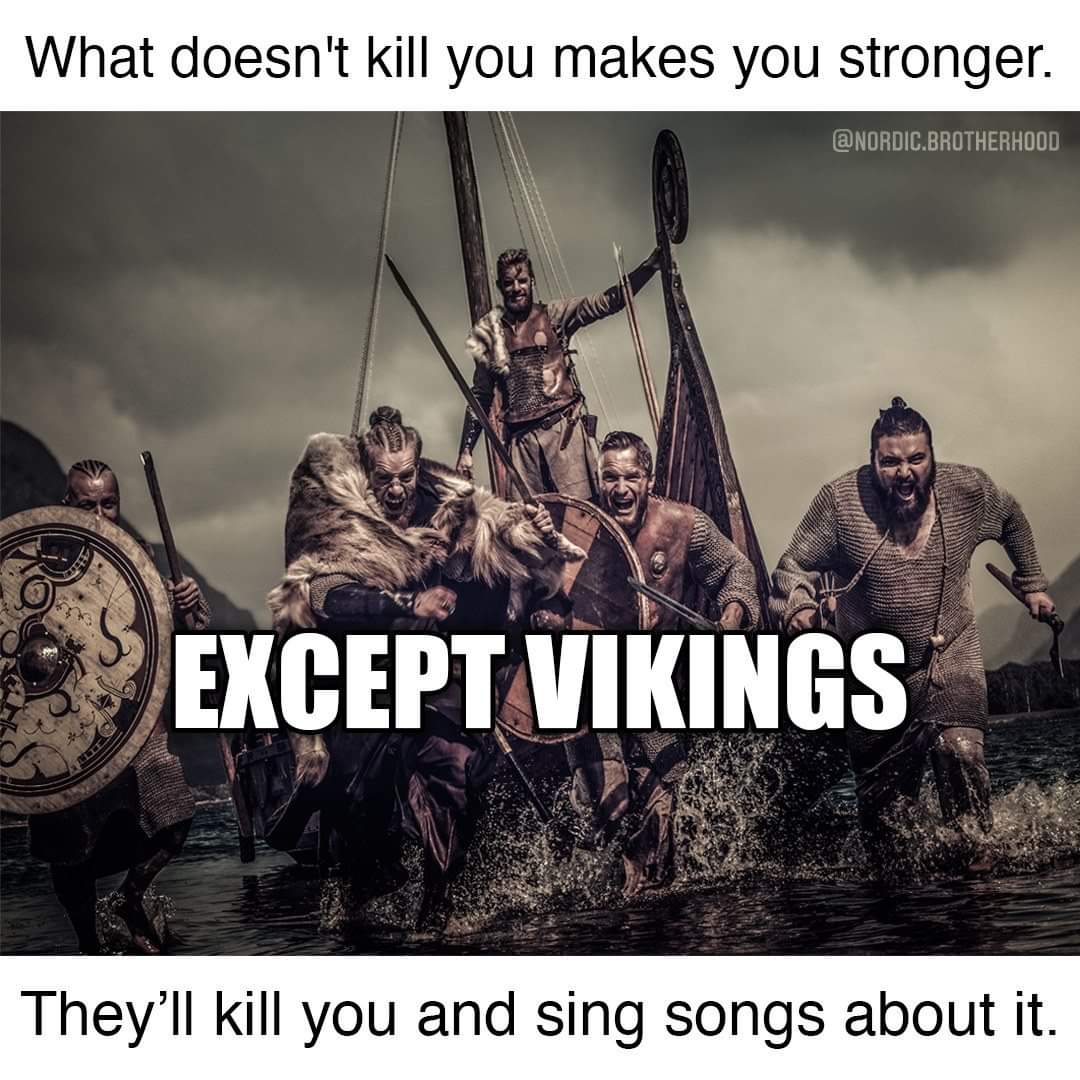 #vikinglife