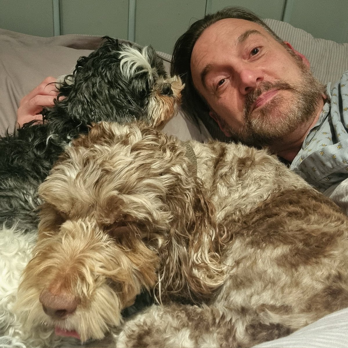 Timsley's tweet photo. There were three in the bed and the little one said...! #TELLINGME π€ͺπΆπΆ #COCOCHANEL #BOSLEYJOHNBOSLEY #TIMMYALEXISCARRINGTONWARD #LEXANDBOZONTHEHILL https://t.co/dccueTLUkB